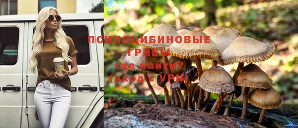 apvp Алексин