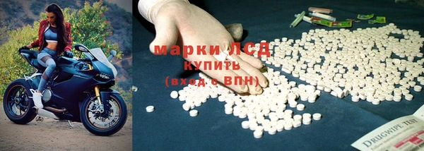 apvp Алексин